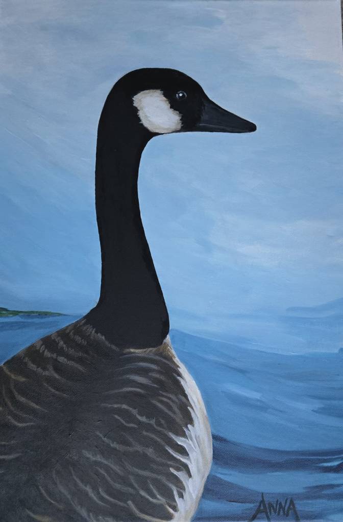 Canada Goose painting Victoria, BC