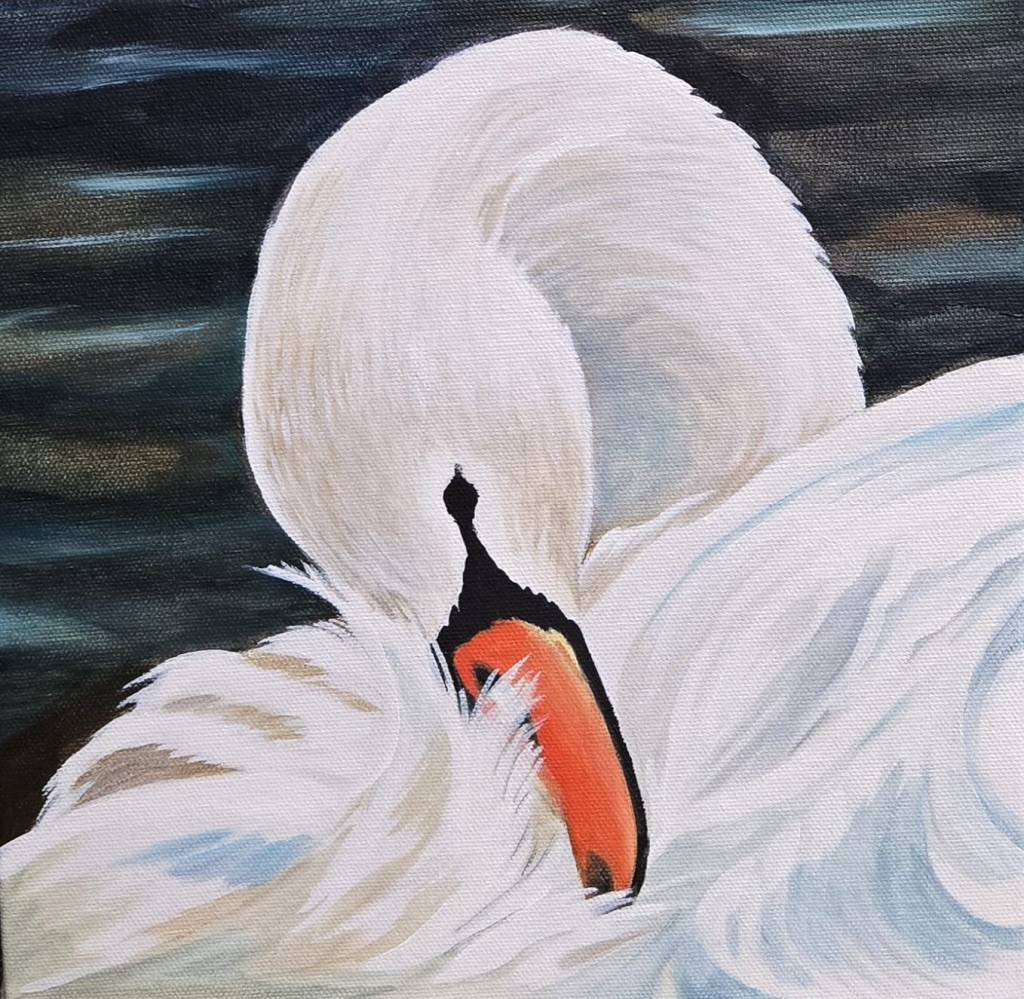 swan painting Victoria, BC