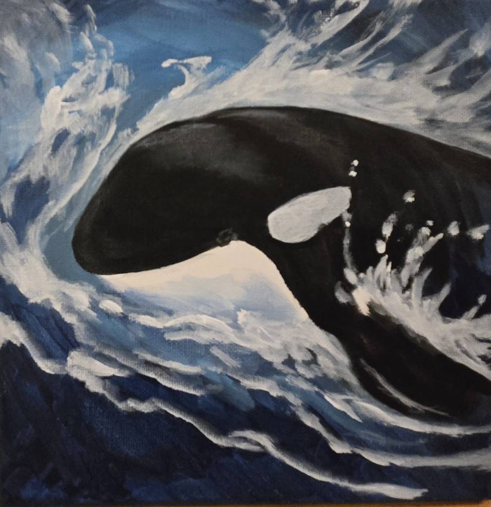 Orca  painting Victoria, BC