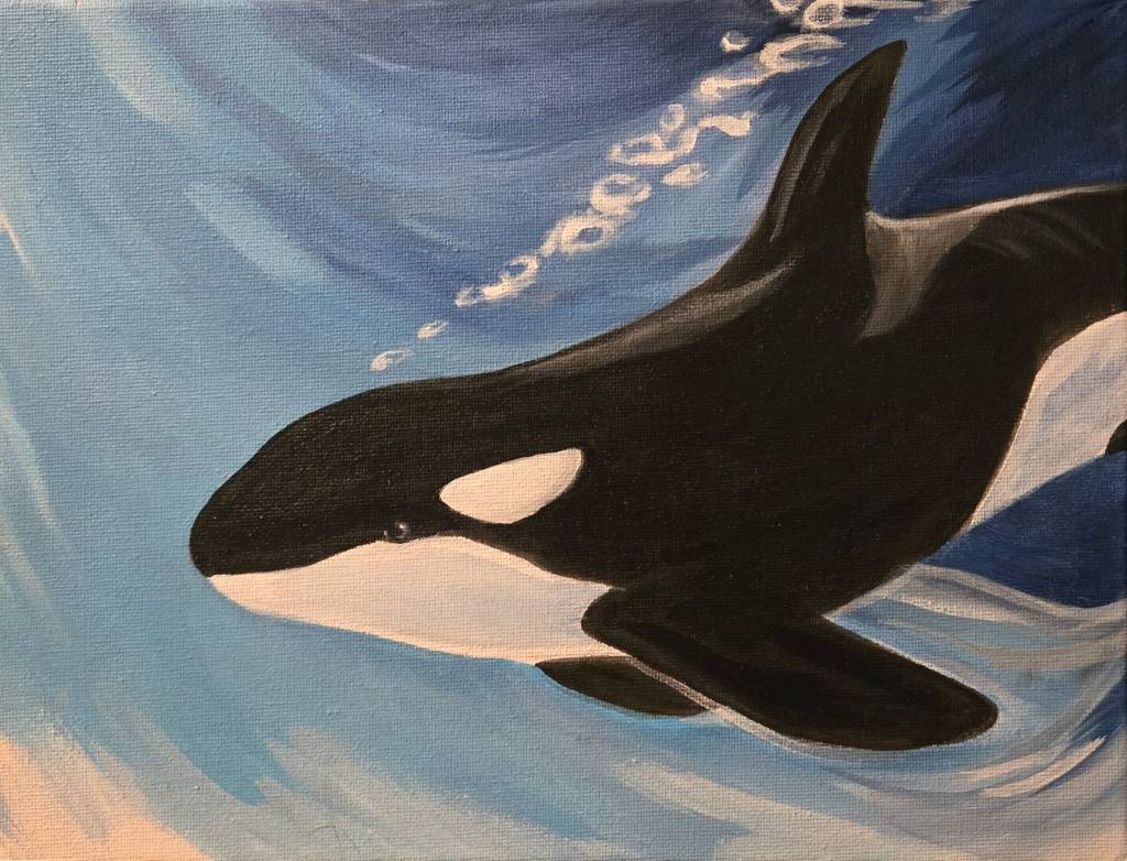 orca painting Victoria, BC