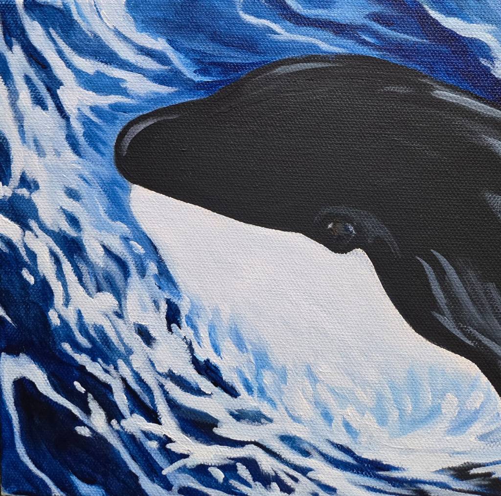 orca painting Victoria, BC