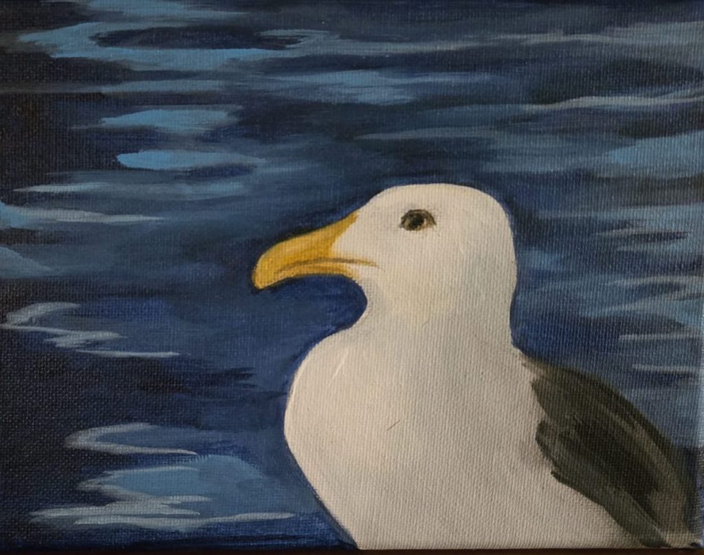 seagull painting Victoria, BC